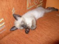 /album/fenykepgaleria/p1010888-jpg/