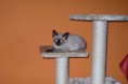/album/fenykepgaleria/p1020146-jpg/