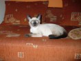 /album/fenykepgaleria/p1020158-jpg/